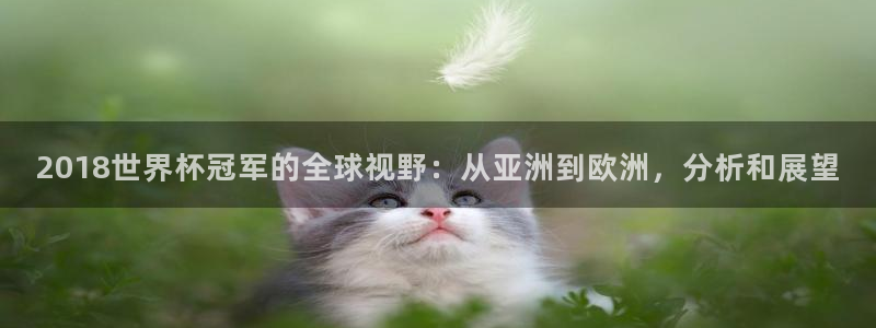 世界杯在线直播：2018世界杯冠军的全球视野：从亚洲到欧洲，分析和展望