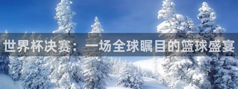 2026世界杯小组赛赛程时间表：世界杯决赛：一场全球瞩目的篮球盛宴