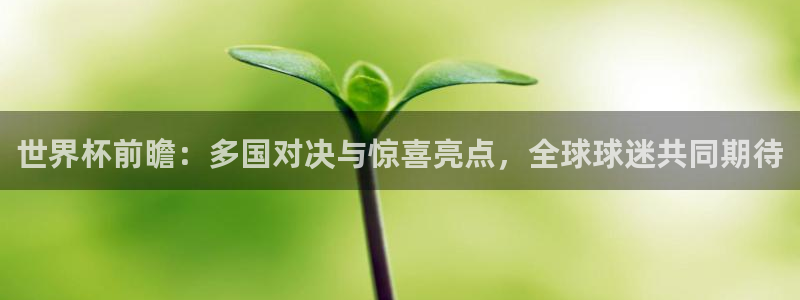 2026世界杯赛程表完整版：世界杯前瞻：多国对决与惊喜亮点，全球球迷共同期待