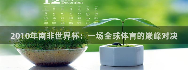 英格兰联赛杯直播：2010年南非世界杯：一场全球体育的巅峰对决
