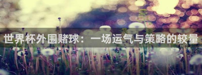 2026世预赛赛程表：世界杯外围赌球：一场运气与策略的较量