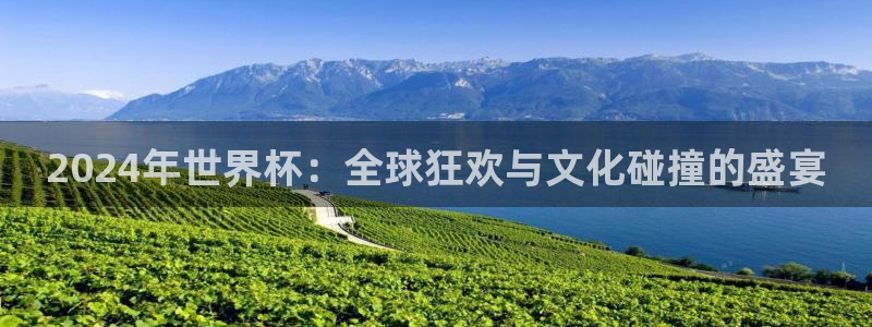 世界杯直播高清：2024年世界杯：全球狂欢与文化碰撞的盛宴