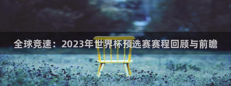 2006年世界杯冠军：全球竞速：2023年世界杯预选赛赛程回顾与前瞻