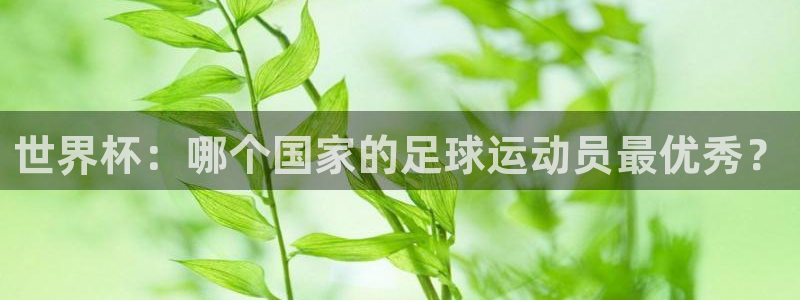 世界杯16强赛程表：世界杯：哪个国家的足球运动员最优秀？