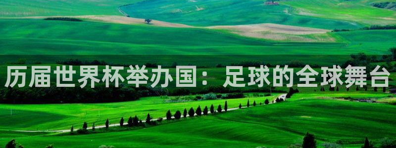 2026世界杯赛程时间表最新：历届世界杯举办国：足球的全球舞台